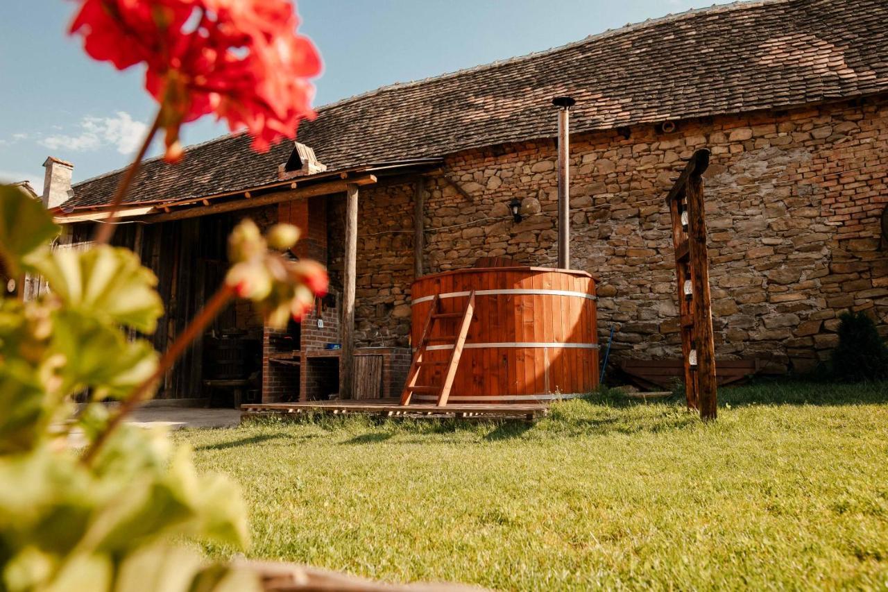 Casa Pe Valea Hartibaciului Pensionat Barcut Exteriör bild