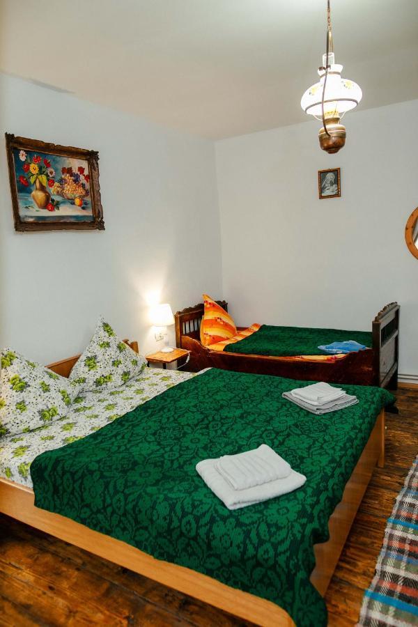 Casa Pe Valea Hartibaciului Pensionat Barcut Exteriör bild