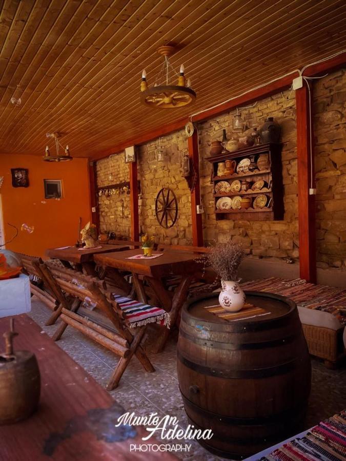 Casa Pe Valea Hartibaciului Pensionat Barcut Exteriör bild