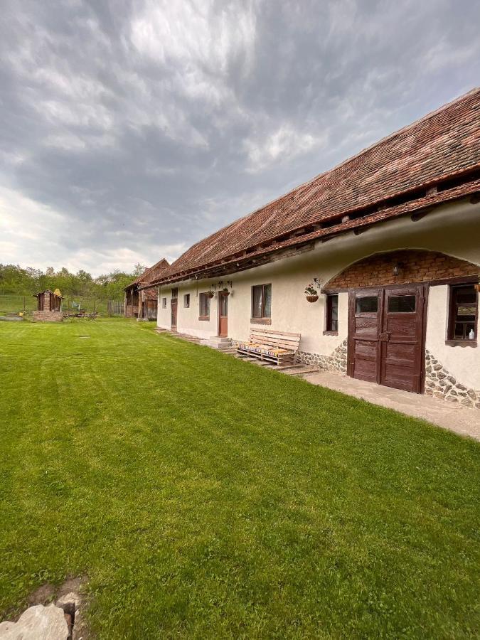 Casa Pe Valea Hartibaciului Pensionat Barcut Exteriör bild
