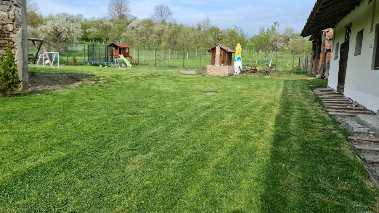 Casa Pe Valea Hartibaciului Pensionat Barcut Exteriör bild
