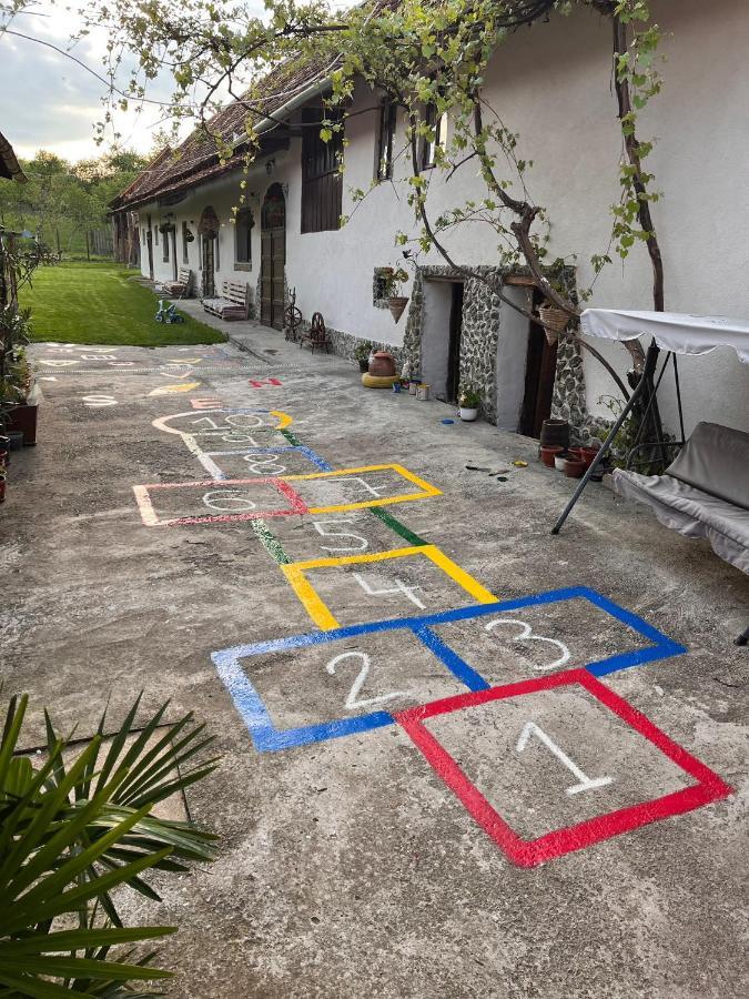Casa Pe Valea Hartibaciului Pensionat Barcut Exteriör bild