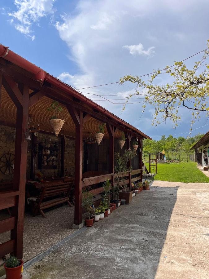 Casa Pe Valea Hartibaciului Pensionat Barcut Exteriör bild