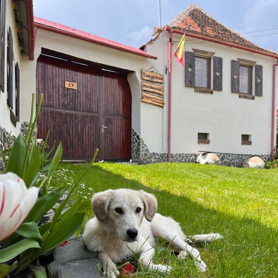Casa Pe Valea Hartibaciului Pensionat Barcut Exteriör bild
